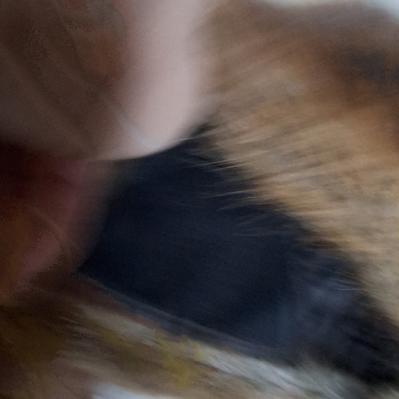 Vintage Muskrat Mid Century Ear Flap Unisex Fur Winter Hat - Picture 8 of 15